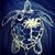 Michelle Casey Kelly's profile image