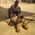 Valerio Cirri's profile image