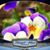 Cheryl Lamar's profile image