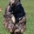 Donna Valente Bates's profile image
