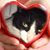 Dulce Albarran's profile image