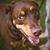 Noah Bradow's profile image