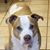 Davalyn Foley's profile image