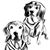 Jayne Schulte-Marso's profile image