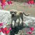 Kathi Sitasz's profile image