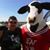 Johnny B Mays's profile image