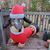 Bobbi Schlatterer's profile image