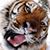 Susan Brodie's profile image