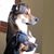 Dayna Spencer's profile image