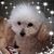 Terri Padgett Day's profile image
