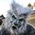 Seanathon Sherbert's profile image