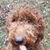 Jerry Fredrickson's profile image