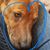 Nita Macosko Soller's profile image