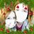 Ashley Falconer's profile image