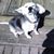 Bernadette Michaux's profile image
