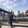 Silvina Gutierrez's profile image