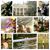Jen Reddig's profile image
