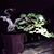 UtMe Tran's profile image