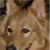 Ginger Walter's profile image