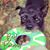Tami Fuchs-Rodriguez's profile image