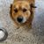Delia M Roque Concepcion's profile image