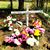 Tommys Memorialfor Wintahill's profile image
