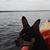 Suzie Lamb's profile image
