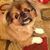 Cindy Cole's profile image