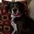 Amy Beth Coats's profile image
