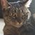 Mary Zeif's profile image