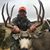 Brad Frost's profile image