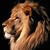 Davide Manzini's profile image
