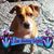 Dana Arlene Vanpelt's profile image