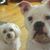 Michael Willette's profile image