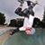Todd Kalbfeld's profile image