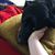 Lisa Turner's profile image