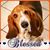 Kathy Kontrim's profile image