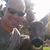 Andrew Zapp's profile image