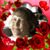 Joan Chrisman's profile image