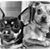 Millicent Newman's profile image