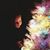 Mark Platt's profile image