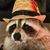 Brian Clovis's profile image