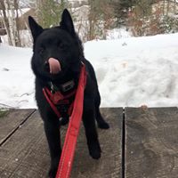 Jah St's profile image