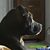Lisa Little's profile image