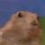 Benjamin Portillo's profile image