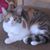 Ellen Yule's profile image
