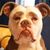 Brenda S Garcia's profile image