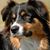 Kate Green's profile image