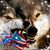 Luchy Padua's profile image