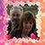 Mary Yehle Harris's profile image